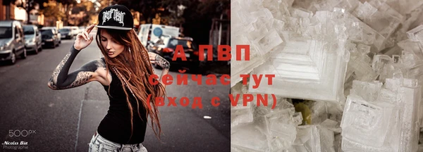apvp Алексин