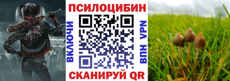 Псилоцибиновые грибы MAGIC MUSHROOMS  Игра 